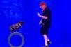 Dog on a rolling barrel following man on stage at Grand Country's Pets and Giggles show