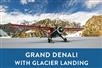 Grand Denali Flight with Glacier Landing