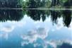 Quiet waters of the cypress wetlands. - Guided Kayak Eco-Tour in Clermont, FL