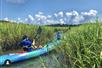 Kayak through the marshlands. Hilton Head, SC - Island Head Tours.