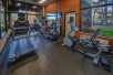 Fitness facility at Hampton Inn Asheville-Tunnel Rd., NC.