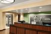 The dark brown reception desk at the Hampton Inn Portland Airport with a green wall with a black and white cow mural behind it.