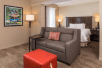 One king bed and a sofa bed inside a studio suite at Hampton Inn & Suites Charlotte-Arrowood Rd., NC.