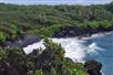 Hana Coastline Experience with Aloha Hawaii Tours on Maui, HI