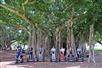 Effortlessly explore Ala Moana beachpark and it's many exceptional trees.