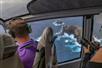 The inside of a Maverick airbus with a man in a purple shirt sitting in the passenger seat flying over Elephant Rock