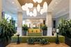 The lobby of the Hilton Garden Inn Asheville Downtown with green couches and love seats, several large plants, and windows to the left.