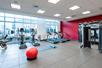 A fitness center with a row of cardio equipment in font of a wall of windows and a red wall with a weights area in front of it to the right.