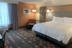 1 King bed at Holiday Inn Asheville Biltmore, NC. 