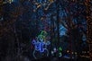 Holiday Lights Tour: Lincoln Park Zoo