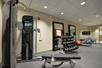 Cardiovascular equipment, free weights, strength equipment in a fitness center.