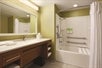 Bath/Shower with bathroom amenities.