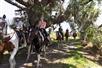 Horse Riding Orlando - Kissimmee, FL