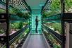 Our underground farm is the only one of its kind in Manhattan.-  Hydroponic Farm Tour & Tasting at Farm.One in New York, NY