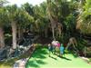 Play all day at Jungle Safari Golf in Myrtle Beach, South Carolina
