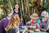 North Shore Tour - Kauai Food Tours