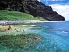 Kauai Sea Tours Na Pali Half day Raft Snorkel Adventure #6 in Eleele, Hawaii