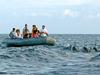 Kauai Sea Tours Rafting Whale Watch Discovery #9 in Eleele, Hawaii