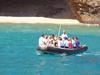 Kauai Sea Tours Na Pali Half day Raft Snorkel Adventure #6 in Eleele, Hawaii