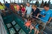 Guests looking at the reef and marine life through the glass bottom on the Key West Glass Bottom Boat Tour, Key West Florida.