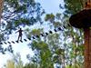 Platforms soar up to 80 feet above the forest floor