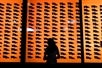 The silhouette of a woman looking up at a large collection of dire wolf skulls with orange lights behind them at the La Brea Tar Pits.