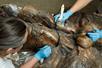 Several people wearing blue latex gloves removing dust and dirt from a large fossil.