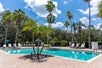 Outdoor pool surrounded by trees and sun loungers. 