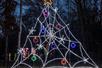 A spider web made of Christmas lights at Bug Christmas at the Lights of Joy Christmas Drive-Thru in Branson, Missouri.