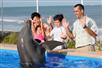 Marineland Dolphin Adventure in St. Augustine, Florida