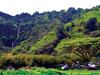 Exclusive landing in the Hana Rainforest - Maverick Maui Helicopter Tours in Kahului, Hawaii