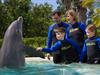 Dolphin encounter at Miami Seaquarium in Miami, Florida