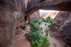 A man rappeling into a canyon with lush greenery at the bottom, on the Moab Canyoneering Adventure Moab Utah.