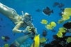 Discover the wonders of Molokini Snorkel & Performance Sail underwater