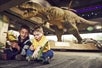 Dinosaurs at the Museum of Science 