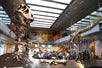 A Tyrannosaurus Rex skeleton with several smaller dinosaur skeletons posed around it on display with museum guests in the background.