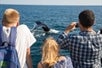Guests taking a photo of the whale