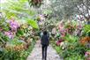 New York Botanical Garden in the Bronx, NY