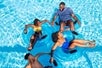 Four people, dressed in swim attire, are bonding with each other as they relax on a blue inflatable pool rings in a vibrant turquoise pool, clearly enjoying themselves as they soak up the sun and the refreshing water at Noah's Ark in Wisconsin Dells, Wisconsin.
