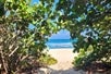 View of the North Shore Beach through thick trees on a sunny day.