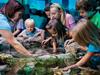 SeaLife Aquarium - Orlando Multi-Attraction Explorer Pass® in Kissimmee, Florida