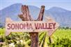 A sign for Sonoma Valley with grapevines in the background