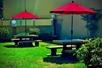 Outdoor picnic area with two concrete tables with red umbrellas on at sunny day at Quality Inn Ukiah Downtown, CA.