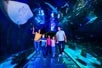 A family of five, including two adults and three children, marveling at various sea creatures swimming overhead in an aquarium tunnel, highlighted by vibrant blue lighting.