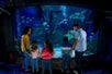 A family, including a woman and four children, watching divers interact with colorful fish and a sea turtle in an aquarium, while one of the adults points out something of interest.