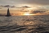 Sail Maui Snorkeling Tours aboard the Paragon in Lahaina- Maui, Hawaii