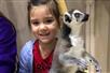 Up close and personal with lemurs at the San Antonio Aquarium