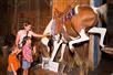 Buckhorn Saloon and Museum and Texas Ranger Museum - San Antonio Multi-Attraction Explorer Pass