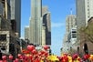 Scenic Chicago - North Side Tour: Tulips on Michigan Ave