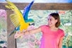 A cheerful tourist with a Blue and Yellow Macaw parrot at SeaQuest.